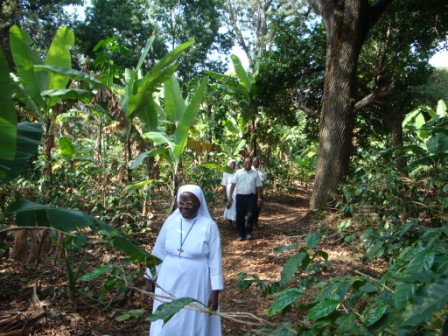 Sr Phina leads the way through the banana trees to the water source
